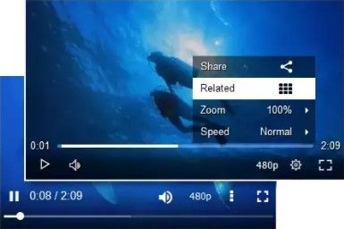 Videojs skins